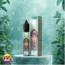Набір Blizz Essence - Spearmint 30 мл 65 мг