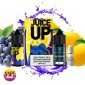 Blueberry Lemon