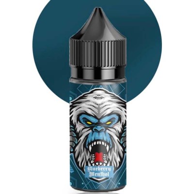 Рідина Flavorlab RF 350 Salt 30ml/50mg Blueberry Menthol - купити