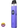 Lavender Purple