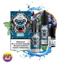 Набор FL350 Salt 30 мл 50 мг - Blueberry Menthol