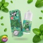 Spearmint