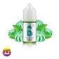 Candy Mint Candy Mint